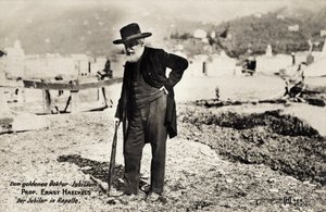 Professor Ernst Haeckel in Rapallo, Italien (s/w Foto) von Unbekannt