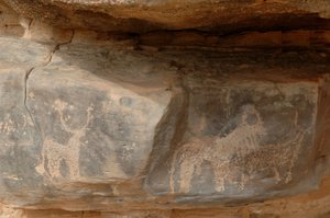Felskunst, Vorgeschichte: Gravur von drei Rindern im Uweinat-Massiv, Sudan (Karkur-Talh oder Karkur Talh). Zeitraum von 8000 bis 3000 Jahre v. Chr. Fotografie