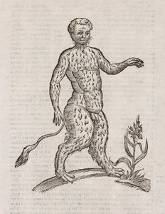 Andere Art von Satyr von Unbekannt