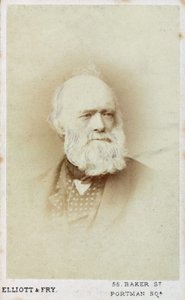 Sir Charles Lyell, englischer Geologe, ca. 1865-1875