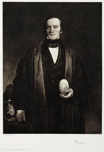 Sir Richard Owen, englischer Naturforscher und Paläontologe, ca. 1845 von Unbekannt