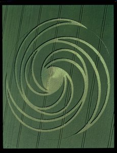 Spirale Formation, 4. Juli 1999