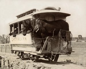 Der Cherrelyn-Pferdewagen, Denver, Colorado, ca. 1890 (s/w Foto)