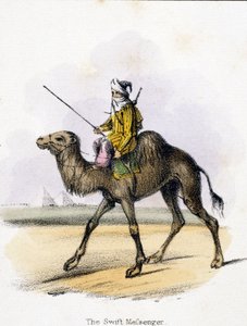 Der schnelle Bote, um 1845