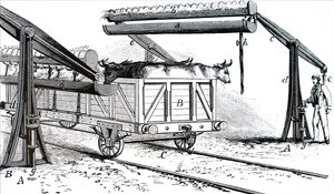Das Gerät zum Tränken von Vieh während des Transports