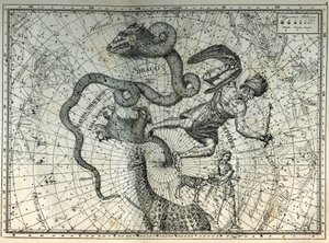 Die nahegelegenen Sternbilder des Nordpols: Kleiner Bär, Drache, Kepheus, Giraffe, Rentier und Messier. Gravur aus Camille Flammarions „Les étoiles et les autres curiosités du ciel“ von Unbekannt