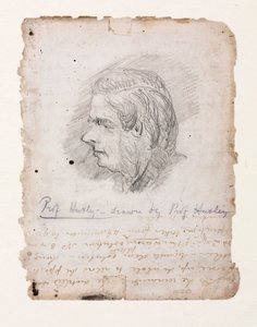 Thomas Henry Huxley, englischer Biologe, Mitte bis Ende des 19. Jahrhunderts von Unbekannt