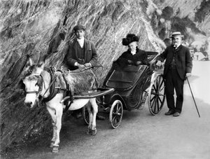 Vereinigtes Königreich: Eine von einem Esel gezogene Invalidenkutsche. 1906