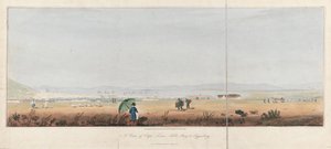 Ansicht von Kapstadt, Table Bay und den Tygerberg Hills (Südafrika). Lithographie (26,5x53,5 cm) von J.W. Burchell von Unbekannter Künstler