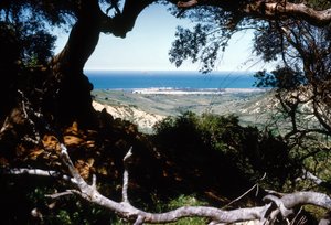 Blick auf das Mittelmeer, Kabylien, Algerien von Unbekannter Künstler
