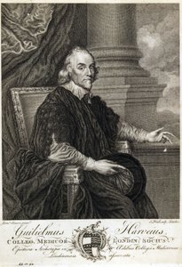 William Harvey, englischer Arzt