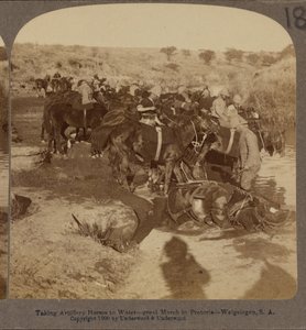 Bewässerung von Artilleriepferden, Welgelegen, Südafrika von Underwood and Underwood
