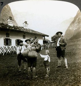 Bayerische Bergsteiger, Deutschland