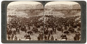 Viehmarkt im unteren Becken von Gihon, Tal von Hinnom, Jerusalem, Palästina, 1900