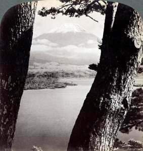 Der Berg Fuji, gesehen vom Nordwesten, durch Kiefern am Lake Motosu, Japan, 1904