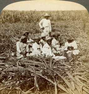 Auf der Zuckerplantage La Union, San Luis, Provinz Santiago, Kuba, 1899