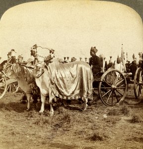 Silberkanone des Maharadschas von Baroda, Delhi, Indien von Underwood and Underwood