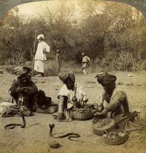 Schlangenbeschwörer, Delhi, Indien von Underwood and Underwood