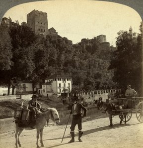 Die Alhambra, Granada, Andalusien, Spanien
