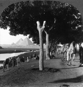 Der Weg zu den Pyramiden, Gizeh, Ägypten, 1905