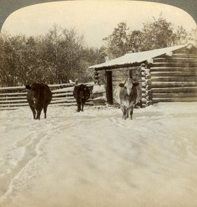 Winter auf einer Ranch, Montana, USA