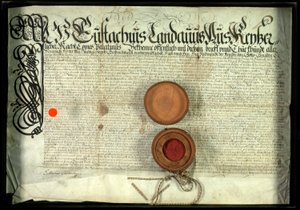 Österreichisches Adelsdiplom von Unidentified