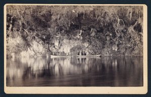 Unter den Klippen des Withlacoochee River, Florida von Unidentified