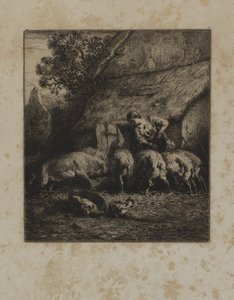 Frau füttert Schweine von Unidentified