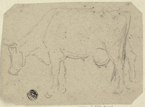 Kuh beim Grasen (recto); Kopf eines Tieres (verso) von Unknown