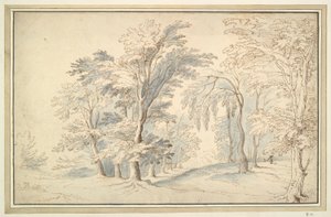 Waldlandschaft