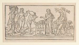 Seite aus einer Kopie nach Francesco Colonna von Unknown