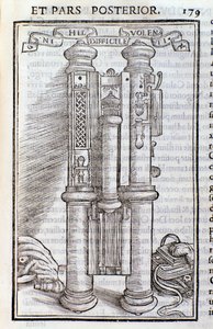 Ein Phagotus (Phagotum). Seite aus Introductio von Theseus Ambrosius Albonesius von Unknown artist