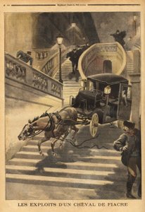 Ein Kutschpferd, das von seinem Kutscher verlassen wurde, geht die Treppe der Rue d