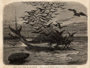 Ein kosmopolitisches Segelboot, der schnellste Fisch der Welt, dank seiner segelförmigen Flosse auf dem Rücken, am Ufer gestrandet und von Krähen angegriffen. Gravur zur Illustration der Geschichte Quatre mois en Florida, von M. Pousselgue, 1851-1852, verö von Unknown artist
