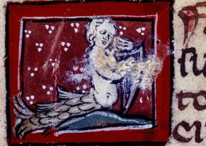 Eine Sirene - Bestiarium des 14. Jahrhunderts. Mailand, Biblioteca Trivulziana von Unknown artist