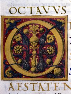 Alphabet: miniaturisierter Buchstabe O von Unknown artist