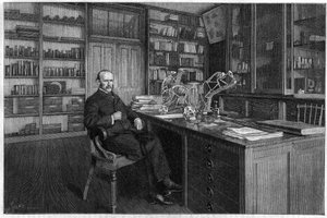 Alphonse Milne Edwards von Unknown artist