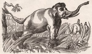 Ein Elefant gefangen in der Savanne, Afrika von Unknown