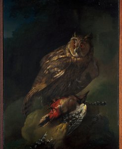 Eine Eule mit ihrer Beute