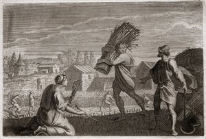 Royaumont-Bibel, Altes Testament: Ruth folgt ihrer Schwiegermutter Noemi ins Land Juda und erntet die Weizenfelder von Boas. Illustration von 1811 von Unknown artist