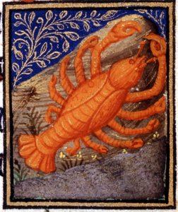 Krebs. Miniatur eines Horoskops. Manuskript des 15. Jahrhunderts. Bibl. Trivulziana, Mailand von Unknown artist