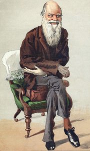 Charles Darwin (1809 - 1882), Illustration in „Vanity Fair“ vom 30. September