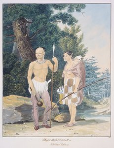 Häuptling der Pal-lo-to-path oder Flathead-Indianer, ca. 1843-50 von Unknown artist