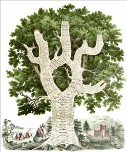 Chronologische Übersicht der amerikanischen Geschichte, dem Volk der Vereinigten Staaten gewidmet vom Herausgeber. Gravur ca. 1881 von Unknown artist