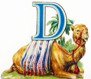 D: Dromedar