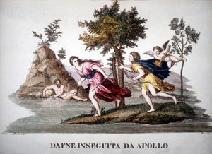 Daphne verfolgt von Apollon - im Dizionario mitologico
