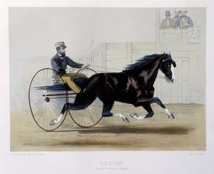 Dexter Traber - in „The Centaur“