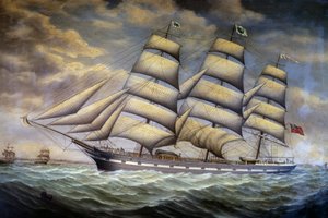 Englischer Klipper Elize Youlton