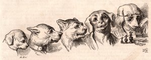 Entwicklung eines Hundes zu einer menschlichen Form