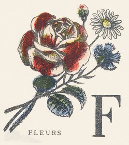F: Blumen